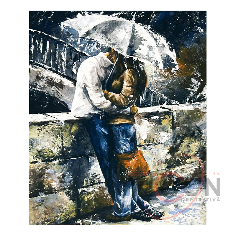 Алмазная картина по номерам 40*50 см