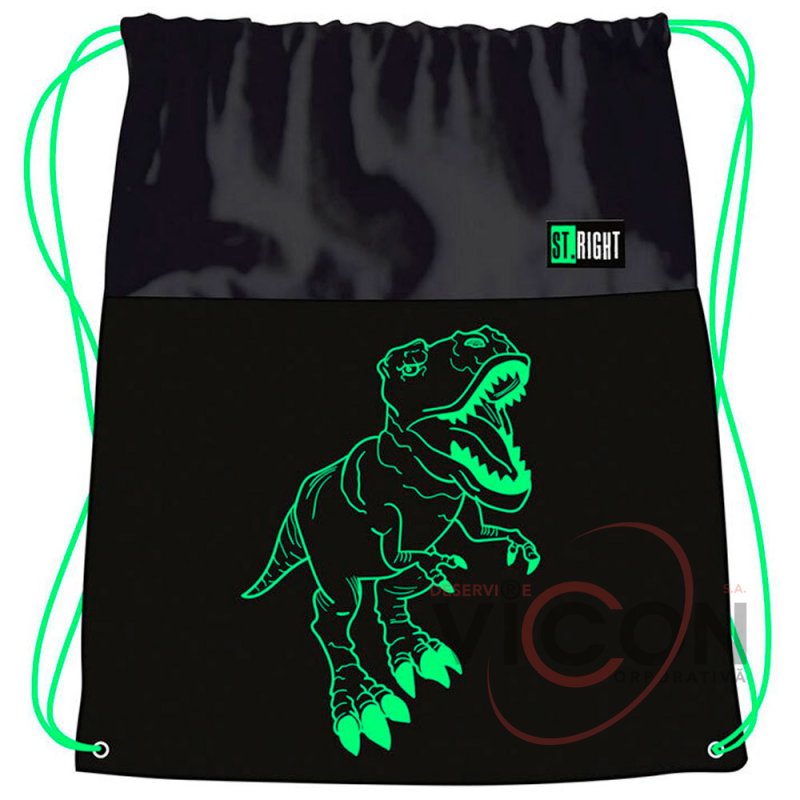 Мешок для спорта, Коллекция St Right - Reflective T-Rex, SO01 43x34см