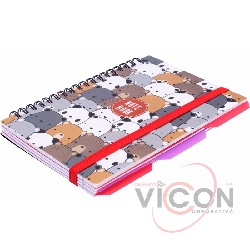 Carnet *Panda*, B6, copertă din plastic, spirală, cu separatoare, 100 foi, carouri