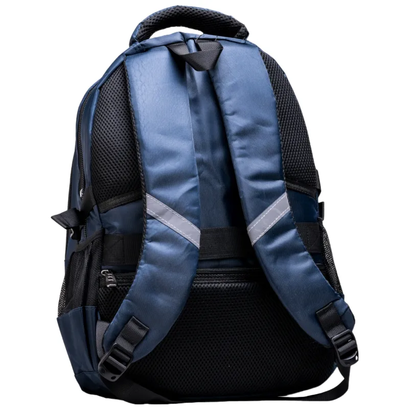 Ghiozdan pentru adolescenți Daco GH541A, 44,5 cm, albastru