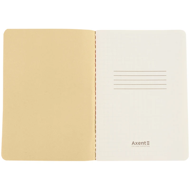 Carnet A6, Axent Turnowsky Secret Garden, 60 de foi, pătrațele