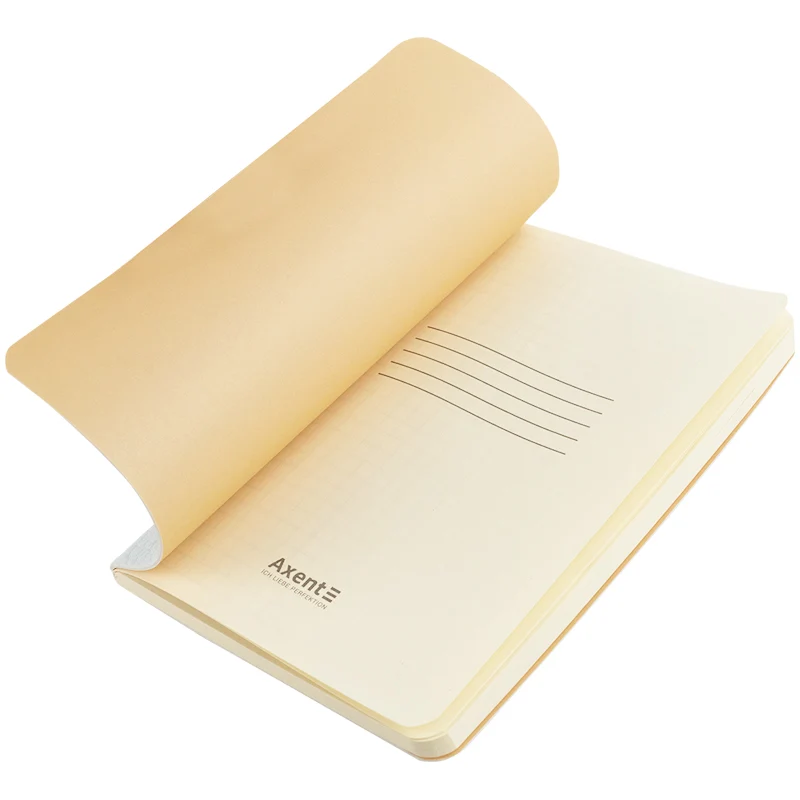 Carnet A6, Axent Turnowsky Secret Garden, 60 de foi, pătrațele